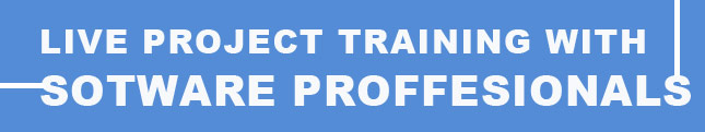 Live Project Training With Software Profesionals